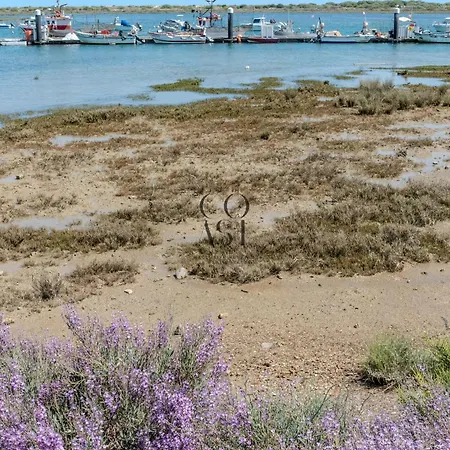 Villa Sunny Escape W Pool & Garden By The Coast Exclusive Tavira