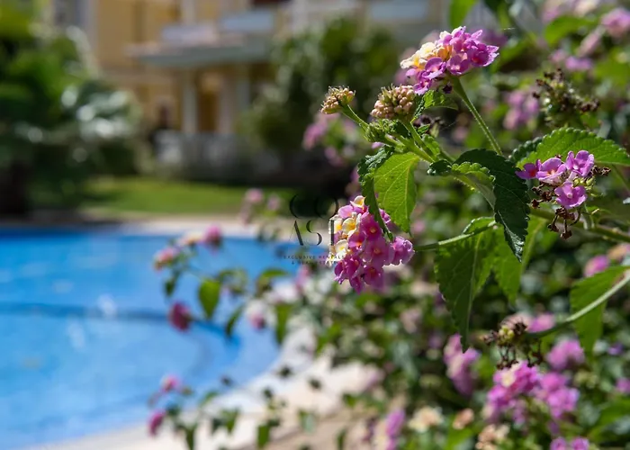 Sunny Escape W Pool & Garden By The Coast Exclusive Willa *