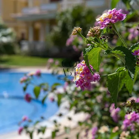 Sunny Escape W Pool & Garden By The Coast Exclusive Vila *